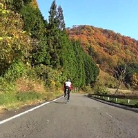 ツアー・オブ・奈良、日本の美しい紅葉を楽しむ 画像