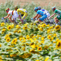 [TDFレポート]第11Sは時速48km超の高速レースに 画像