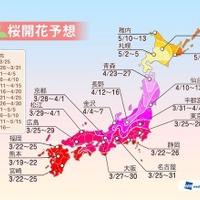 九州～近畿、東海、関東で続々開花へ、2014年第三回桜開花予想　ウェザーニューズ 画像