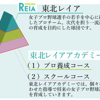 東北レイア、女子プロ野球リーグ初のアカデミーコース生募集 画像