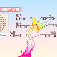 北陸や東北南部の桜は見頃に…宮城の一目千本桜は満開、兼六園は桜吹雪に期待 画像