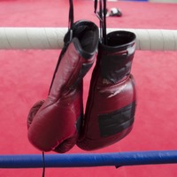 【ボクシング】ニコニコ超会議2015に「WOWOW 超ボクシング」出展…エキシビションマッチやトークショー開催 画像