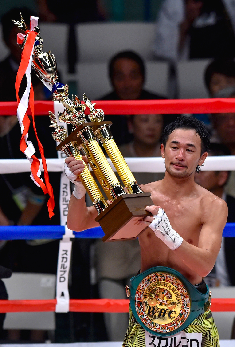 ボクシング世界チャンピオン 山中慎介 神の左 は当初右打ちだった 単独インタビュー 12枚目の写真 画像 Cycle やわらかスポーツ情報サイト