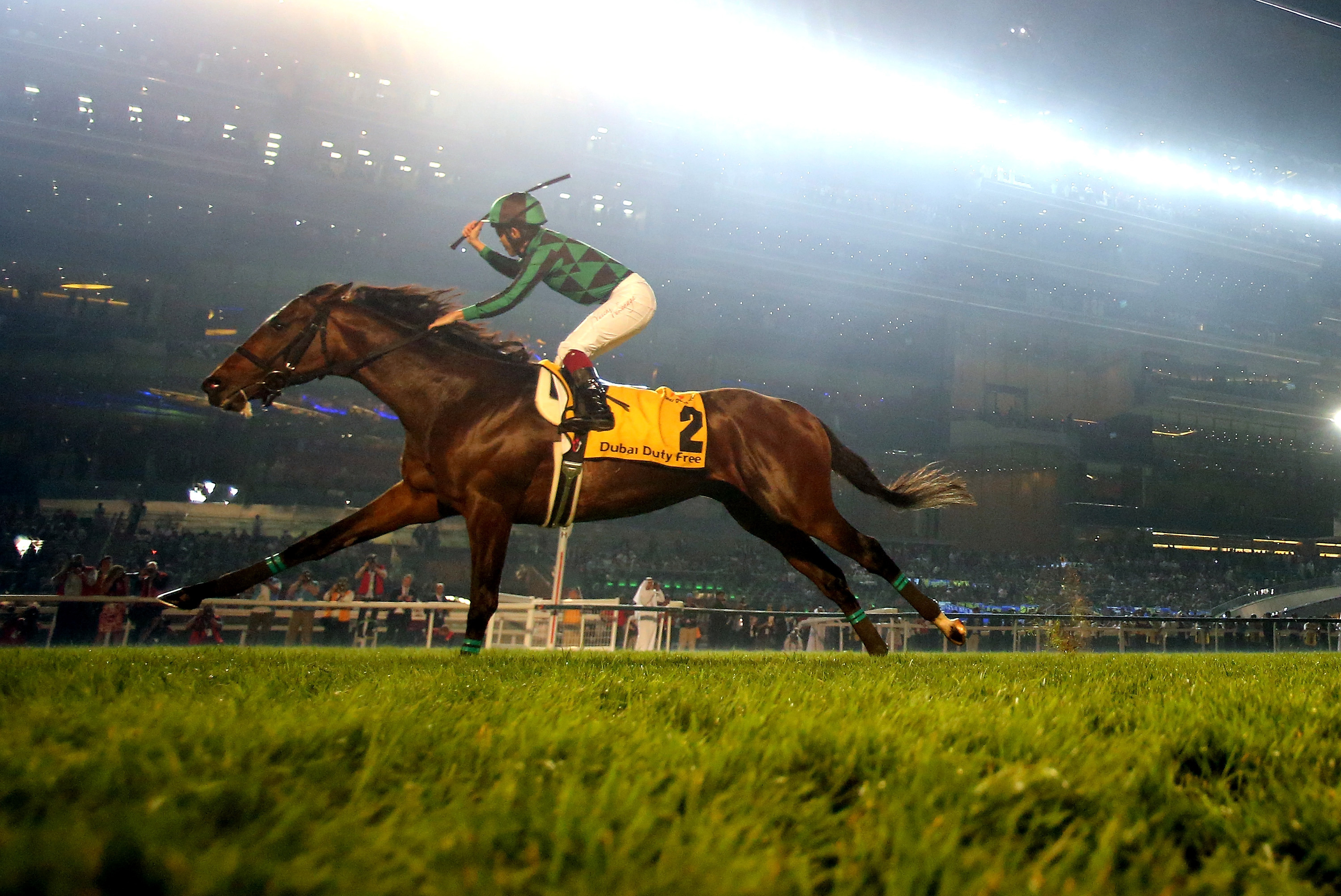 半*リ様 競走馬記念ジャケット ジャスタウェイ 競馬】ジャスタウェイ有馬でラストラン、2014年ドバイDFなど制す
