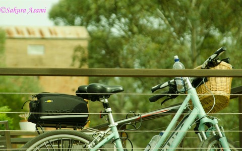 【自転車のある風景】写真アーカイブ vol.2 画像