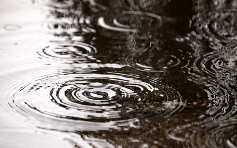 【プロ野球】楽天対ソフトバンクは雨で中止、コボスタが水没 画像