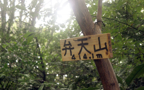 【小さな山旅】峰寺山で歩き足りない時は…弁天山 画像