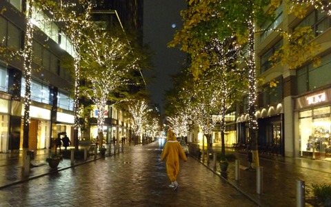 【やってみた】クリスマスのイルミネーション、丸の内、表参道、目黒川 画像