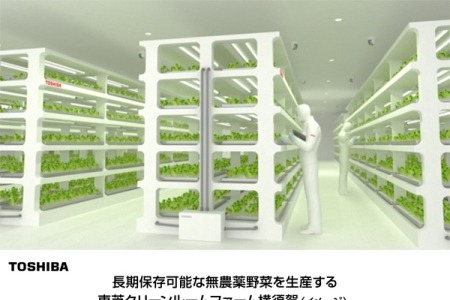 【話題】東芝、植物工場で長期保存可能な無農薬野菜を安定生産 画像