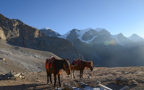 憧れのネパール、ヒマラヤ山脈での乗馬 画像