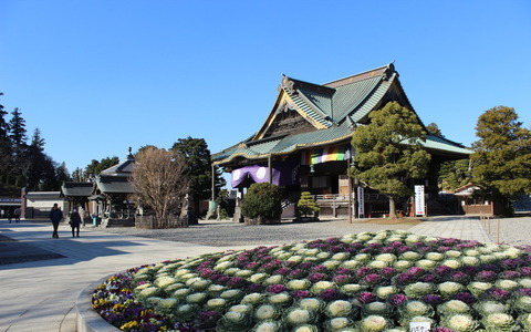 【小さな山旅】成田山に末詣…千葉県・成田山 画像