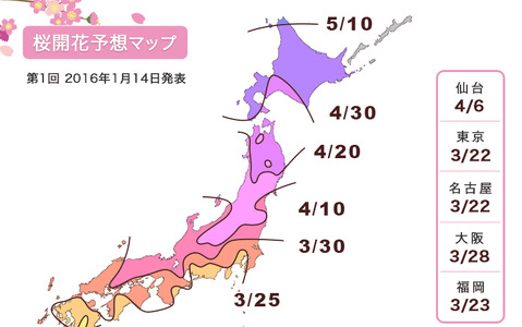 桜の開花予想…東京、名古屋、甲府は3月22日 画像