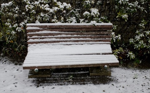 首都圏で積雪、学生の足を直撃…臨時休講で「詫び単位」や交通費要求 画像