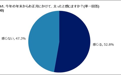 正月太り、5割以上が実感…正月太りとダイエットに関する調査 画像