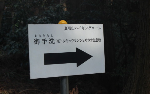 【小さな山旅】山椒魚と亀虫…茨城県・真弓山（1） 画像