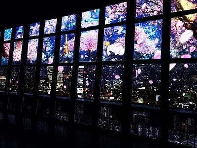 東京タワー、夜桜のプロジェクションマッピングで一足早いお花見を楽しむ 画像
