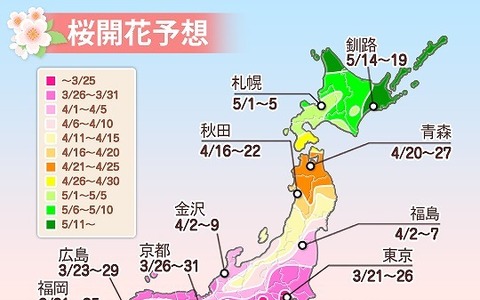 桜開花予想、3回目…来週に九州から関東南部でシーズンに 画像