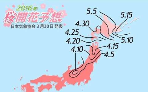 桜の開花予想、関東以西で桜が満開に…日本気象協会 画像