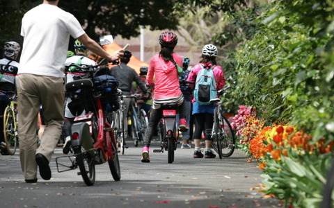 東京もあと5年で自転車が普及する…自転車王国オランダ公使 画像