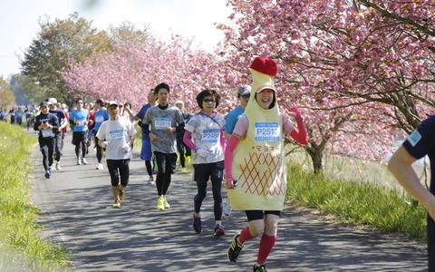 東北風土マラソンと連携し、東北の魅力を海外に発信「RUN! 東北プロジェクト」 画像