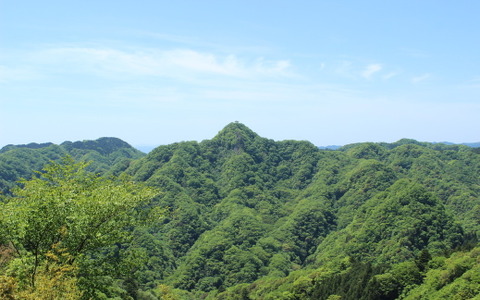 【小さな山旅】思い立ったが低山ハイク…茨城県・武生山 画像