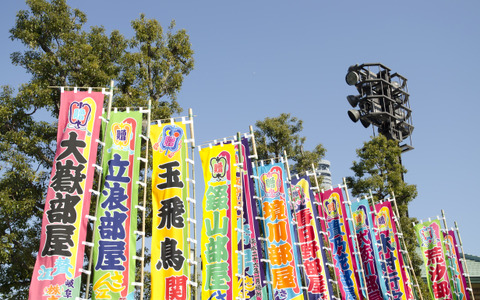 白鵬が横綱の意地、相手の形で稀勢の里を一蹴 画像