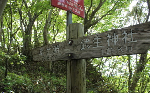 【小さな山旅】亀ヶ淵山の分岐点にて…茨城県・亀ヶ淵山（1） 画像