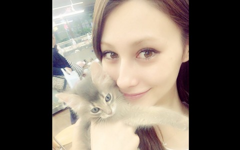 ダレノガレ明美、猫の名前を募集「わたしの新しい家族」 画像