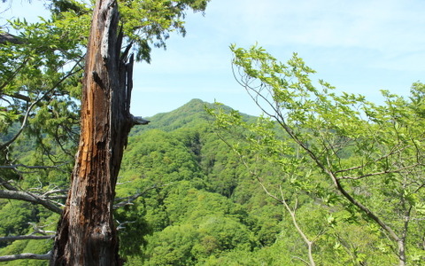 【小さな山旅】小さな山での、小さな遭難…茨城県・亀ヶ淵山（2） 画像
