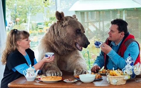 ロシア人家族と20年以上暮らしている熊…サッカー観戦、庭で水やりも 画像