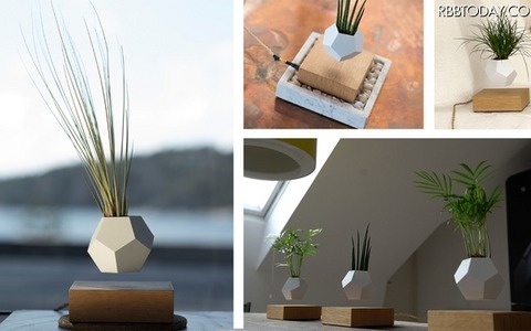 空中で植物を育てる?新発想栽培キット「LYFE」 画像