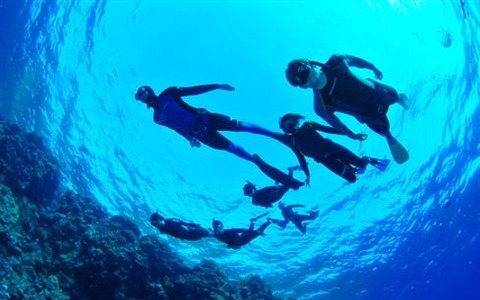 ただのスキューバダイビングスクールではなく本物の海の学校…ただしモナコで 画像