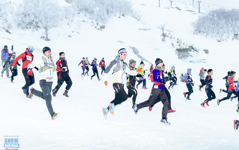 雪上ダウンヒルランニングレース、新潟県で2017年3月開催 画像