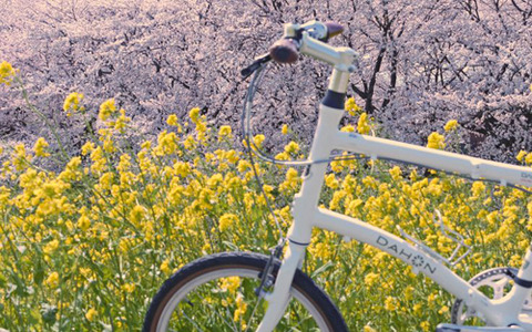 折りたたみ自転車ダホンの乗り手がサイクリングの途中で見つけた素敵な景色 画像