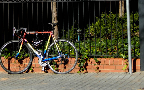 【自転車のある風景】「知らなかった」は通用しない。豪州自転車乗りのルール 画像