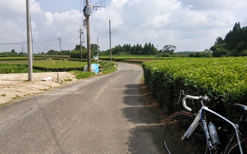 【南日本グルメライド】自転車乗りがグルメを追求すると、お得な4つのこと 画像