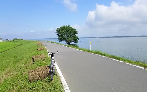【山口和幸の茶輪記】茨城・つくば「りんりんロード」でサイクリング…首都圏から日帰りできるパラダイス 画像