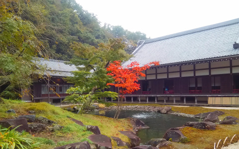 【山口和幸の茶輪記】鎌倉観光はアプリで楽しもう…「いざマイル鎌倉」で散策してきた 画像
