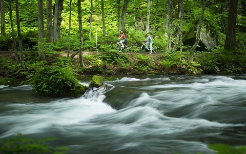 奥入瀬渓流を自転車で散歩する「渓流ポタリング」5月開催 画像