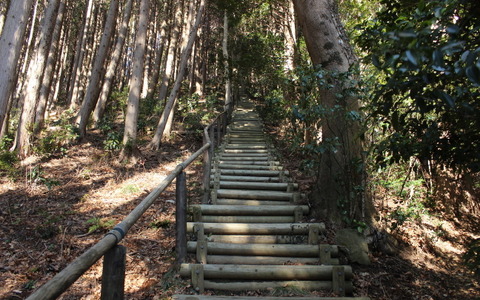 【小さな山旅】“かいだんこわい”…茨城県・仏頂山～栃木県・高峰（1） 画像