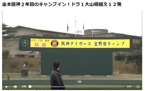 阪神タイガースのキャンプ動画、デイリースポーツ・オンラインが無料配信 画像