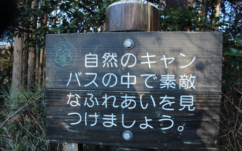 【小さな山旅】山のキャッチコピーに心を動かされる…茨城県・仏頂山～栃木県・高峰（3） 画像