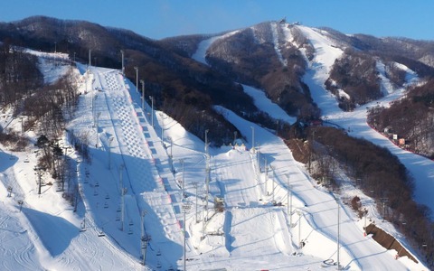 冬季オリンピック観戦ツアー申込受付開始…フィギュアスケート、スキージャンプ女子 画像