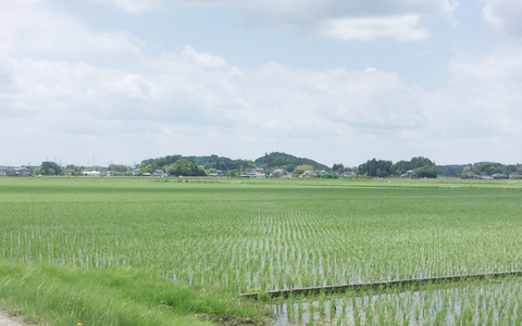 【小さな山旅】さわやか古墳山さんぽ…茨城県・梵天山 画像