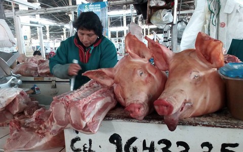 【オビナタの世界放浪記】まるで「千と千尋の神隠し」…豚の首がドンと置かれた南米の市場で思うこと 画像
