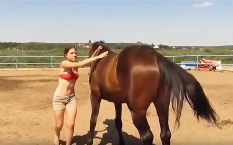 「もぉ～、しょうがないなぁ」うまく乗れない女性に気遣って優しくする馬がイケメンすぎ！ 画像