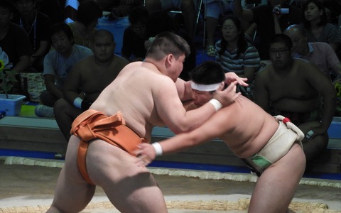 【THE INSIDE番外編】将来の関取候補がひしめく個人戦が熱い…インターハイ 相撲競技 画像