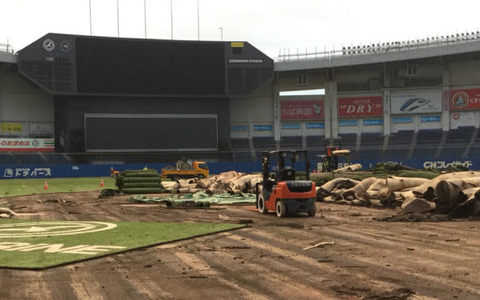 ロッテ本拠球場が7年ぶり人工芝全面張り替え…昨季契約更改での要望通る 画像