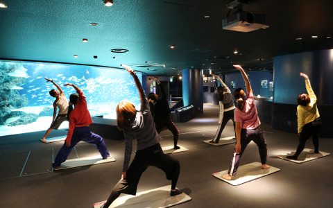 女性限定ヨガレッスン「水族館ヨガ」がサンシャイン水族館で開催 画像