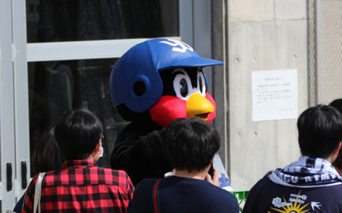 つば九郎があちこちに出没、“青木効果”でファン増加のヤクルトキャンプ 画像